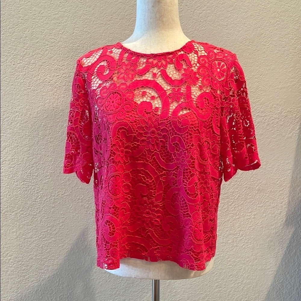 Elegant Pink Lace Women Top with Lining by NANETTE